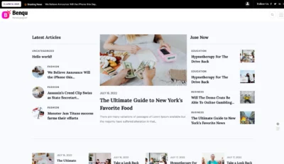 UP1104-wordpress-newspaper-latest-articles-section