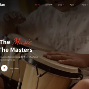 Musician & Band Portfolio - WordPress Website