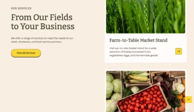 field-market-service-section