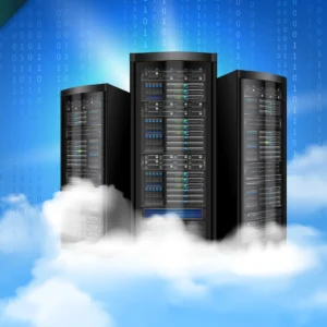 Hosting Services – Standard Package