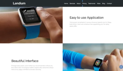 landing-page-application-ux-section