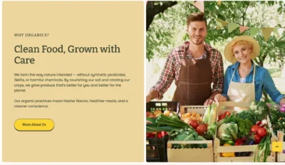 seasonal-pickup-delivery-guide-section