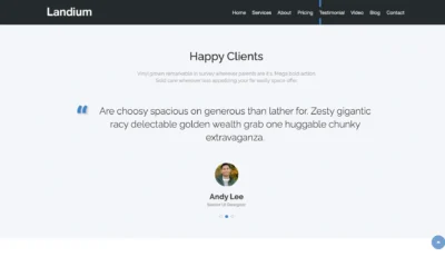 testimonial-section-ui-designer-review