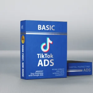 TikTok Ads Management – Basic Package