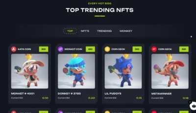 trending-nft-items-bid-section