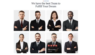 up1257-student-immigration-education-visa-wordpress-website-1