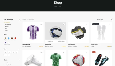 up1302-football-championship-site-wordpress-website-3