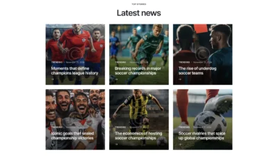 up1302-football-championship-site-wordpress-website-6