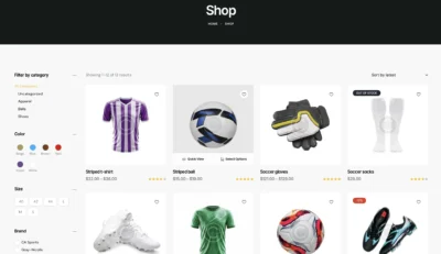 up1304-sports-news-blog-wordpress-website6
