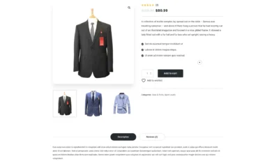up1321-lean-startup-launch-wordpress-website-2