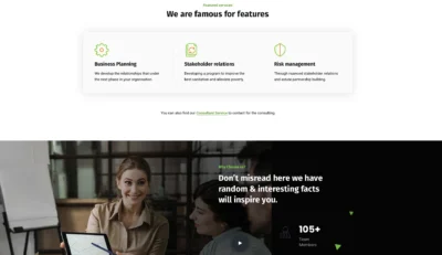 up1341-global-funding-consultants-wordpress-website-8