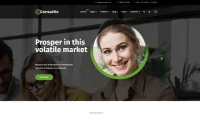 up1341-global-funding-consultants-wordpress-website-9
