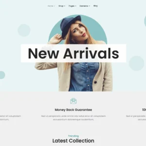 Modern Apparel Store - WordPress Website