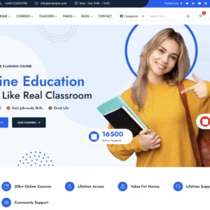 Online Learning Academy - WordPress Website