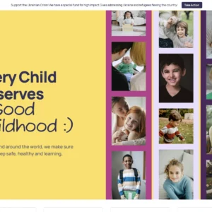 Child Welfare Initiative - WordPress Website