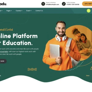 Online Learning Platform - WordPress Website