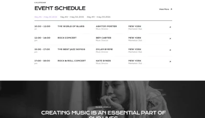 up1529-musician-live-performer-wordpress-website-5