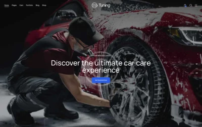 up1542-car-detailing-service-wordpress-website-10