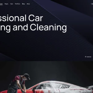 Car Wash & Cleaning Services - WordPress Website