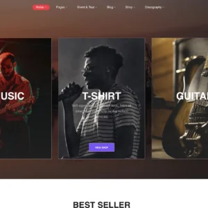 Music Store - WordPress Website