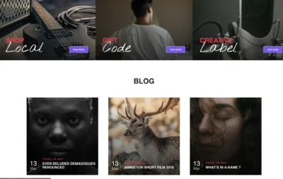 up1554-music-store-wordpress-website-5