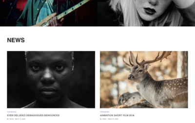 up1559-music-left-sidebar-wordpress-website-6