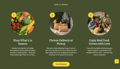 vegetable-delivery-yellow-background-section