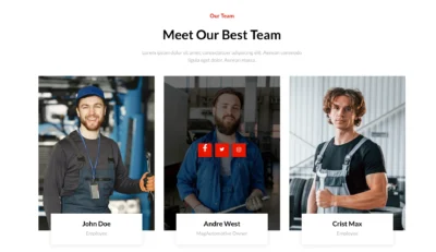 woocommerce-mechanic-team-member-section
