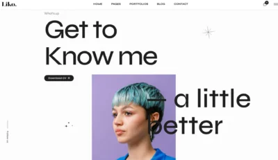 wordpress-about-me-cv-download-section