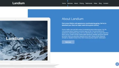 wordpress-agency-about-blue-section