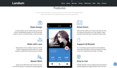 wordpress-app-landingpage-feature-icons