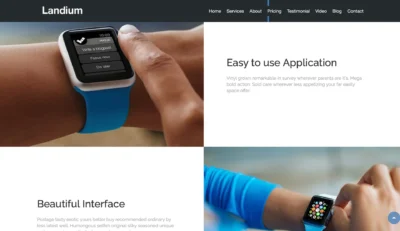 wordpress-app-usage-section-smartwatch