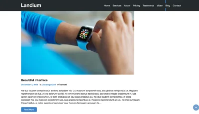 wordpress-blog-detail-smartwatch-ui