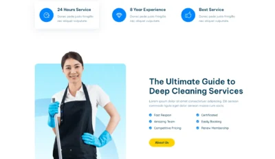 wordpress-cleaning-company-intro-section