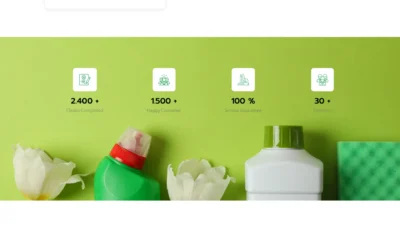 wordpress-cleaning-stats-detergents-section