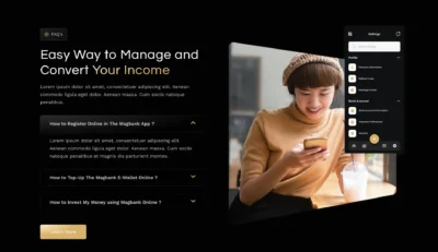wordpress-easy-income-management-section