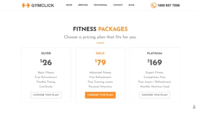 wordpress-fitness-pricing-plans-section