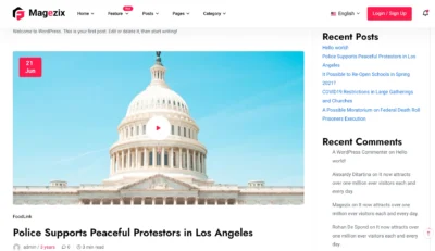 wordpress-foodlink-politics-template
