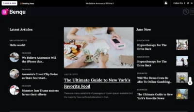wordpress-health-meeting-report-layout