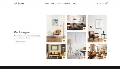wordpress-instagram-feed-gallery-section-1