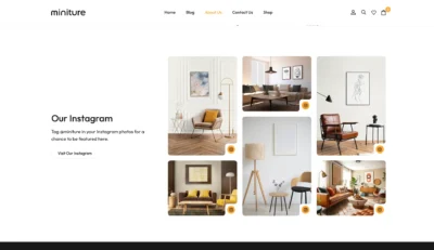 wordpress-instagram-feed-gallery-section