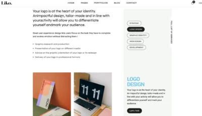 wordpress-logo-design-service-presentation