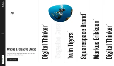 wordpress-modern-slider-vertical-projects