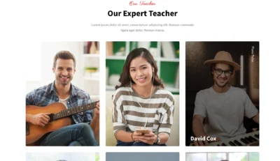 wordpress-music-teacher-profile-section