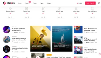 wordpress-popular-news-category-cards