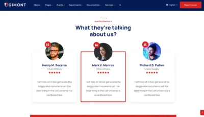 wordpress-single-portfolio-project-page
