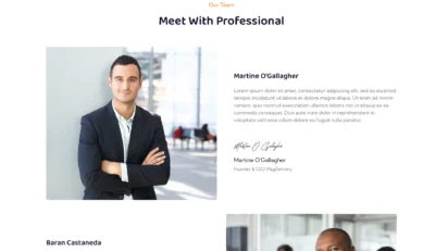 wordpress-team-member-delivery-company