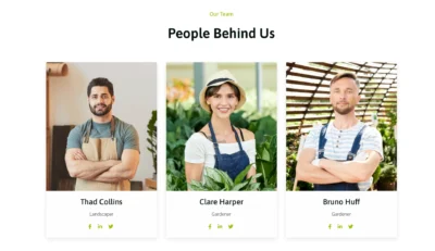 wordpress-team-members-gallery-section