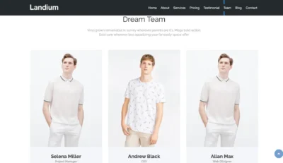 wordpress-team-members-grid-layout-section