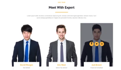 wordpress-team-members-tax-advisors